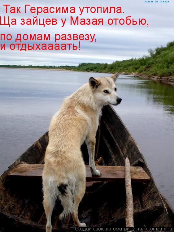 Так Герасима утопила. Ща зайцев у Мазая отобью, по домам развезу, и отдыхаааать!... Котоматрица: Так Герасима утопила. Ща зайцев у Мазая отобью, по домам развезу, и отдыхаааать!