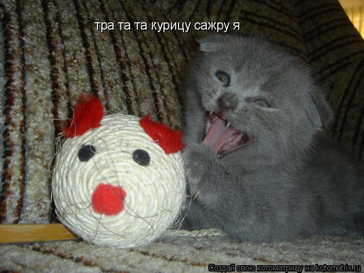 тра та та курицу сажру я... Котоматрица: тра та та курицу сажру я