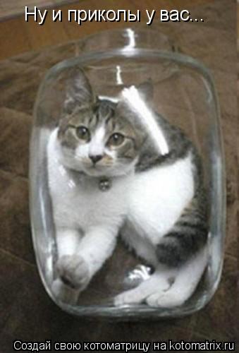 Котоматрица: Ну и приколы у вас...
