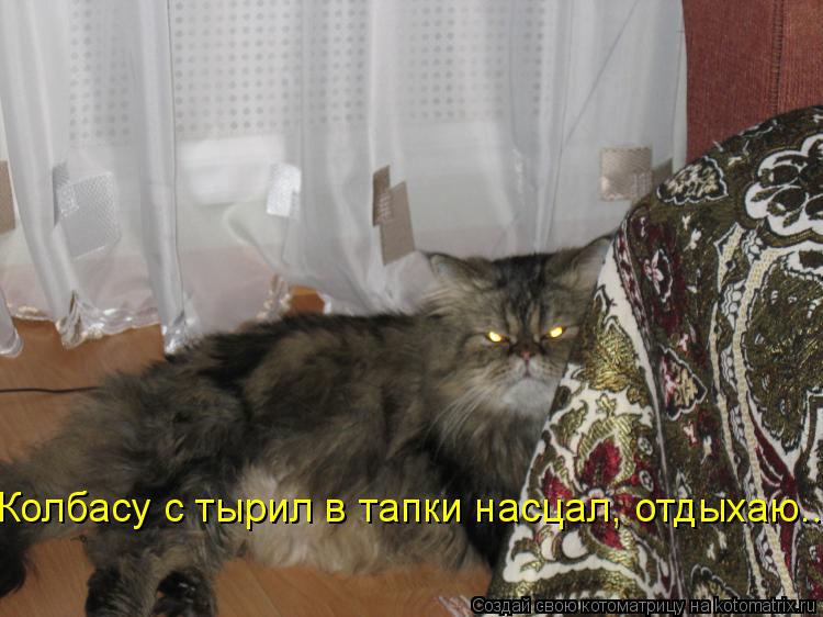 Колбасу с тырил в тапки насцал, отдыхаю...... Котоматрица: Колбасу с тырил в тапки насцал, отдыхаю...