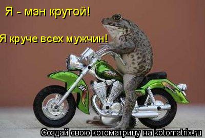 Я - мэн крутой! Я круче всех мужчин!... Котоматрица: Я - мэн крутой! Я круче всех мужчин!