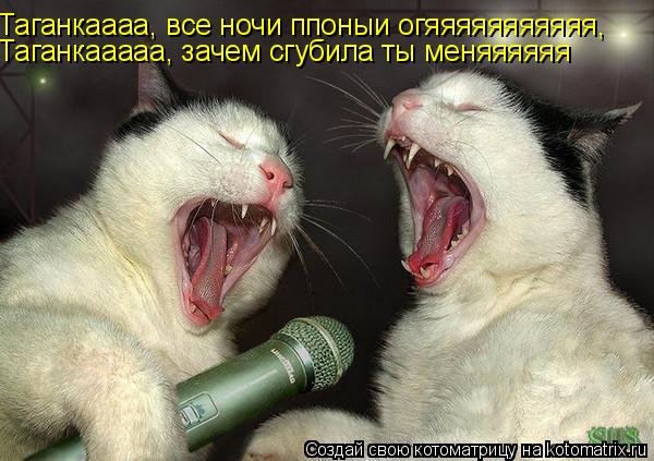 Таганкаааа, все ночи ппоныи огяяяяяяяяяяя, Таганкааааа, зачем сгубила ты меняяяяяя... Котоматрица: Таганкаааа, все ночи ппоныи огяяяяяяяяяяя, Таганкааааа, зачем сгубила ты меняяяяяя