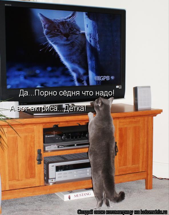 Да...Порно сёдня что надо! А вот актриса...Детка!... Котоматрица: Да...Порно сёдня что надо! А вот актриса...Детка!