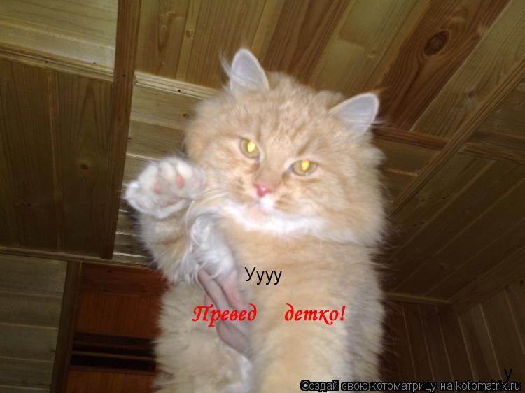 у Уууу... Котоматрица: у Уууу