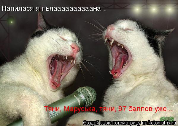 Напилася я пьяаааааааааана... Тяни, Маруська, тяни, 97 баллов уже...... Котоматрица: Напилася я пьяаааааааааана... Тяни, Маруська, тяни, 97 баллов уже...