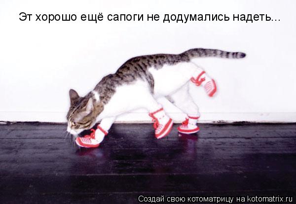 Эт хорошо ещё сапоги не додумались надеть...... Котоматрица: Эт хорошо ещё сапоги не додумались надеть...