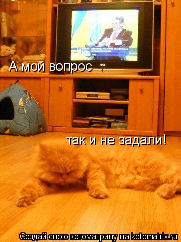 А мой вопрос так и не задали!... Котоматрица: А мой вопрос так и не задали!