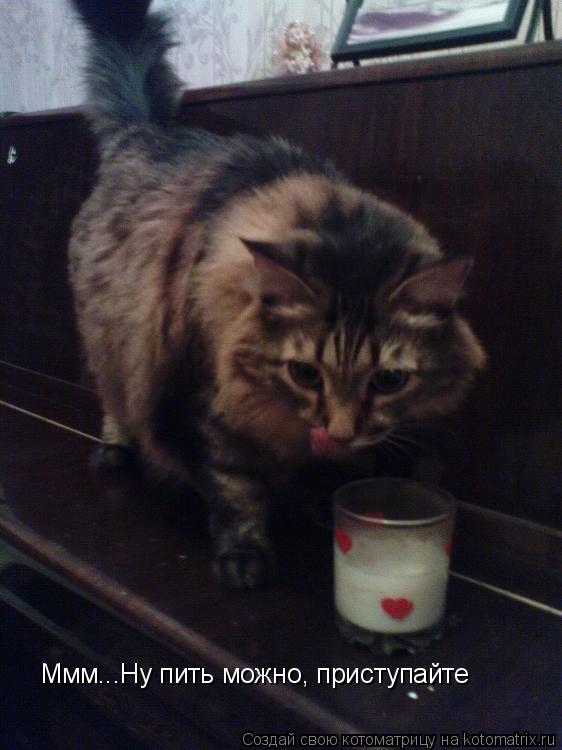 Котоматрица: Ммм...Ну пить можно, приступайте