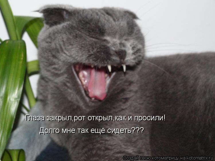 Глаза закрыл,рот открыл,как и просили! Долго мне так ещё сидеть???... Котоматрица: Глаза закрыл,рот открыл,как и просили! Долго мне так ещё сидеть???