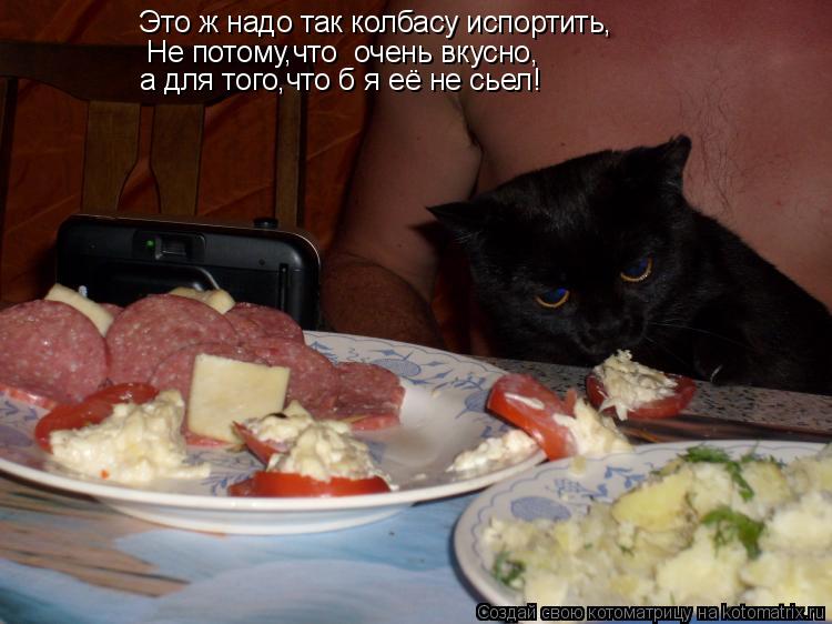Котоматрица: Это ж надо так колбасу испортить, Не потому,что  очень вкусно, а для того,что б я её не сьел!