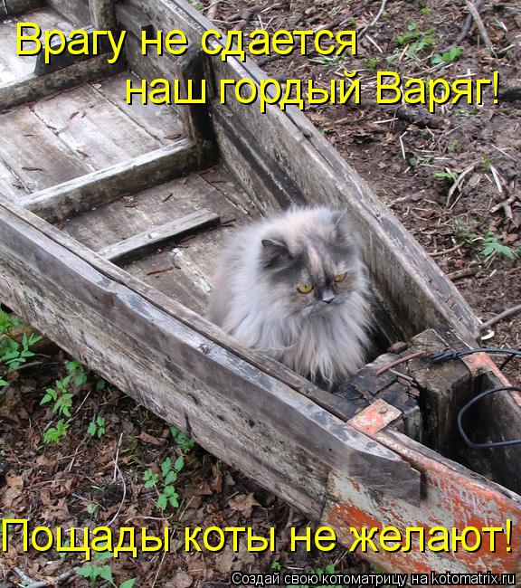 Врагу не сдается наш гордый Варяг! Пощады коты не желают!... Котоматрица: Врагу не сдается наш гордый Варяг! Пощады коты не желают!