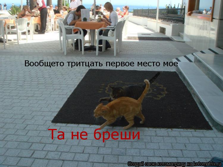 Вообщето тритцать первое место мое Та не бреши... Котоматрица: Вообщето тритцать первое место мое Та не бреши
