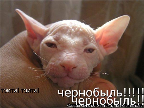 тоити! тоити! чернобыль!!!!!!!! чернобыль!!!!!!!!... Котоматрица: тоити! тоити! чернобыль!!!!!!!! чернобыль!!!!!!!!