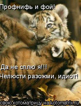 Профнифь и фой! Да не сплю я!!! Челюсти разожми, идиот!... Котоматрица: Профнифь и фой! Да не сплю я!!! Челюсти разожми, идиот!