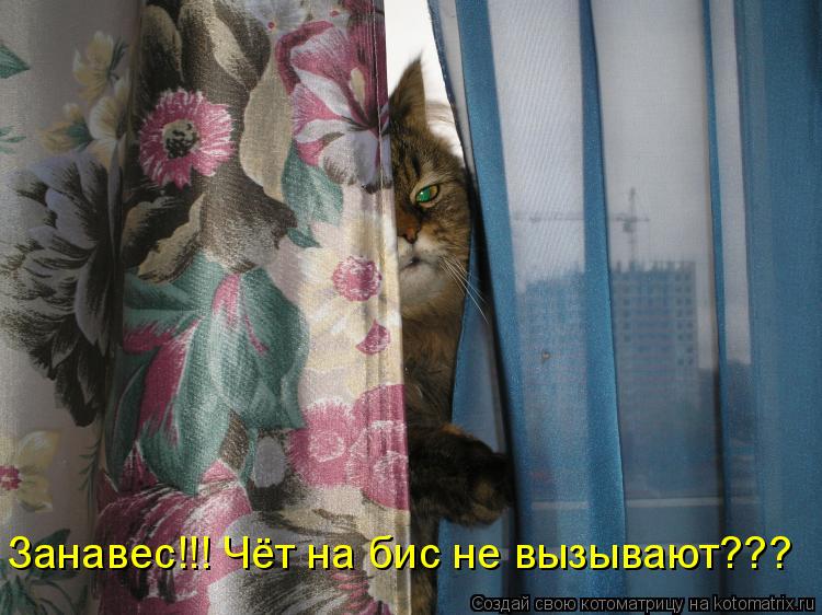 Занавес!!! Чёт на бис не вызывают???... Котоматрица: Занавес!!! Чёт на бис не вызывают???