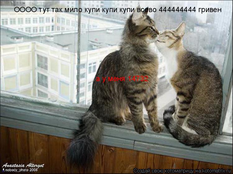 ОООО тут так мило купи купи купи всево 444444444 гривен а у меня 14732... Котоматрица: ОООО тут так мило купи купи купи всево 444444444 гривен а у меня 14732