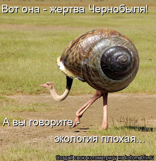 Вот она - жертва Чернобыля! А вы говорите - экология плохая...... Котоматрица: Вот она - жертва Чернобыля! А вы говорите - экология плохая...