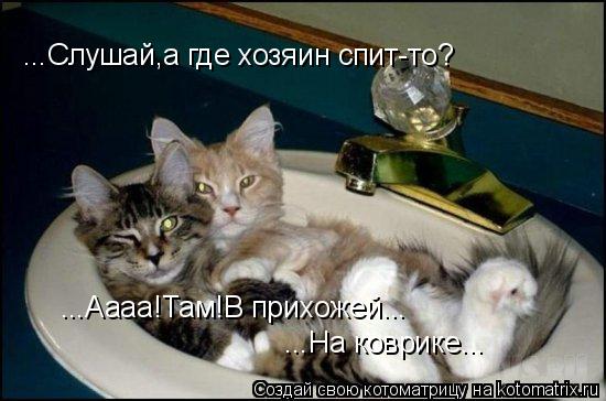 ...Слушай,а где хозяин спит-то? ...Аааа!Там!В прихожей... ...На коврике...... Котоматрица: ...Слушай,а где хозяин спит-то? ...Аааа!Там!В прихожей... ...На коврике...