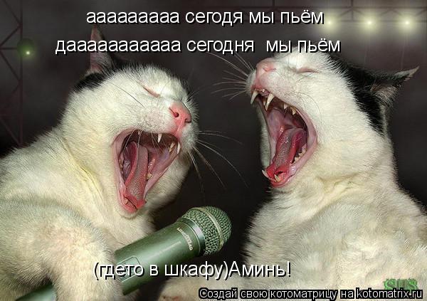 ааааааааа сегодя мы пьём дааааааааааа сегодня мы пьём (гдето в шкафу)Аминь!... Котоматрица: ааааааааа сегодя мы пьём дааааааааааа сегодня мы пьём (гдето в шкафу)Аминь!