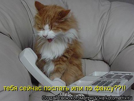 тебя сейчас послать или по факсу??!!... Котоматрица: тебя сейчас послать или по факсу??!!