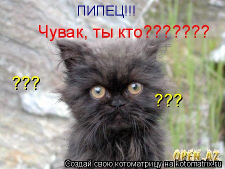 ПИПЕЦ!!! Чувак, ты кто??????? ??? ???... Котоматрица: ПИПЕЦ!!! Чувак, ты кто??????? ??? ???
