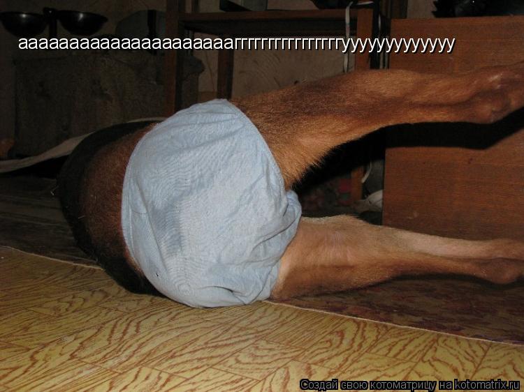 Котоматрица: аааааааааааааааааааааггггггггггггггггууууууууууууу