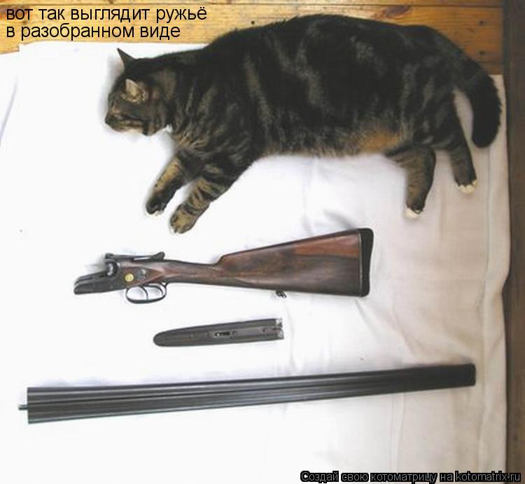 вот так выглядит ружьё в разобранном виде... Котоматрица: вот так выглядит ружьё в разобранном виде