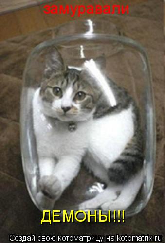 замуравали ДЕМОНЫ!!!... Котоматрица: замуравали ДЕМОНЫ!!!