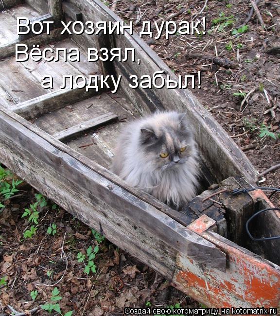 Вот хозяин дурак! Вёсла взял, а лодку забыл!... Котоматрица: Вот хозяин дурак! Вёсла взял, а лодку забыл!