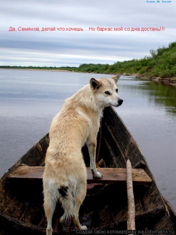 Да, Семёнов, делай что хочешь... Но баркас мой со дна достань!!!... Котоматрица: Да, Семёнов, делай что хочешь... Но баркас мой со дна достань!!!