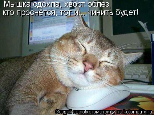 Мышка сдохла, хвост облез, кто проснётся, тот и... чинить будет!... Котоматрица: Мышка сдохла, хвост облез, кто проснётся, тот и... чинить будет!