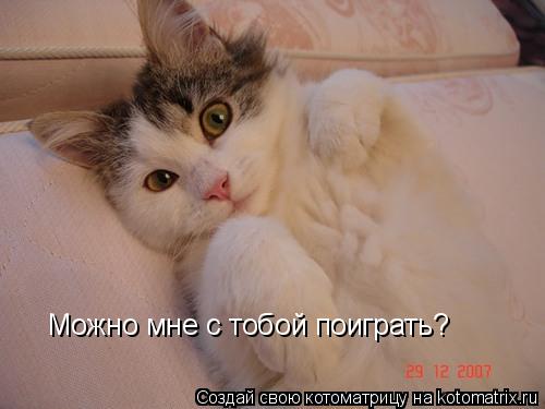 Можно мне с тобой поиграть?... Котоматрица: Можно мне с тобой поиграть?