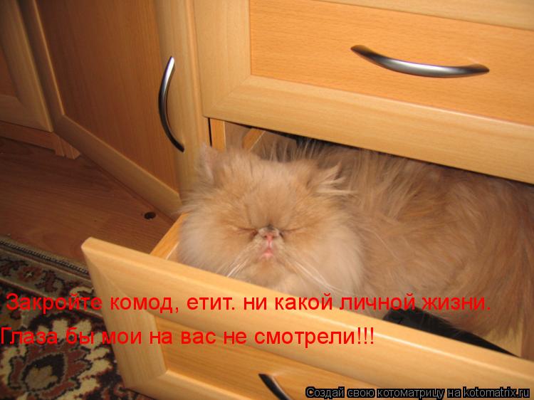 Закройте комод, етит… ни какой личной жизни. Глаза бы мои на вас не смотрели!!!... Котоматрица: Закройте комод, етит… ни какой личной жизни. Глаза бы мои на вас не смотрели!!!