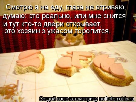Смотрю я на еду, глаза не отриваю, думаю: это реально, или мне снится и тут кто-то двери открывает, э... Котоматрица: Смотрю я на еду, глаза не отриваю, думаю: это реально, или мне снится и тут кто-то двери открывает, это хозяин з ужасом торопится.