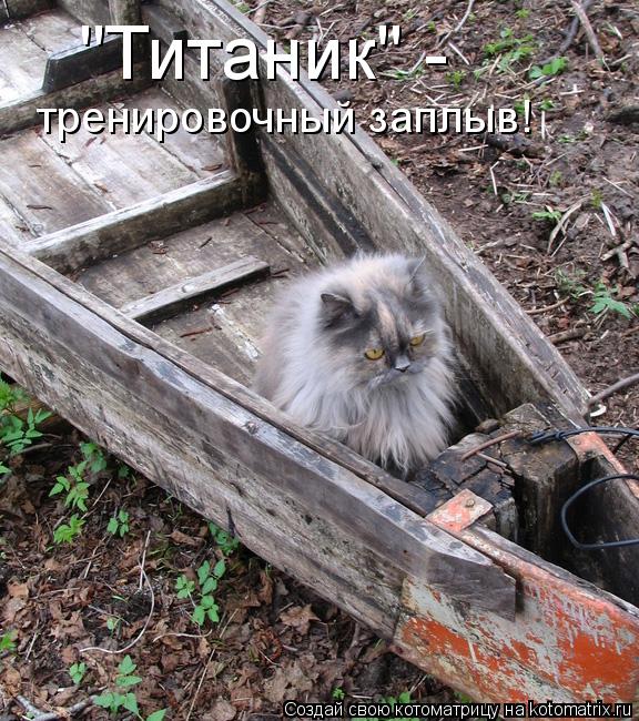"Титаник" - тренировочный заплыв!... Котоматрица: "Титаник" - тренировочный заплыв!
