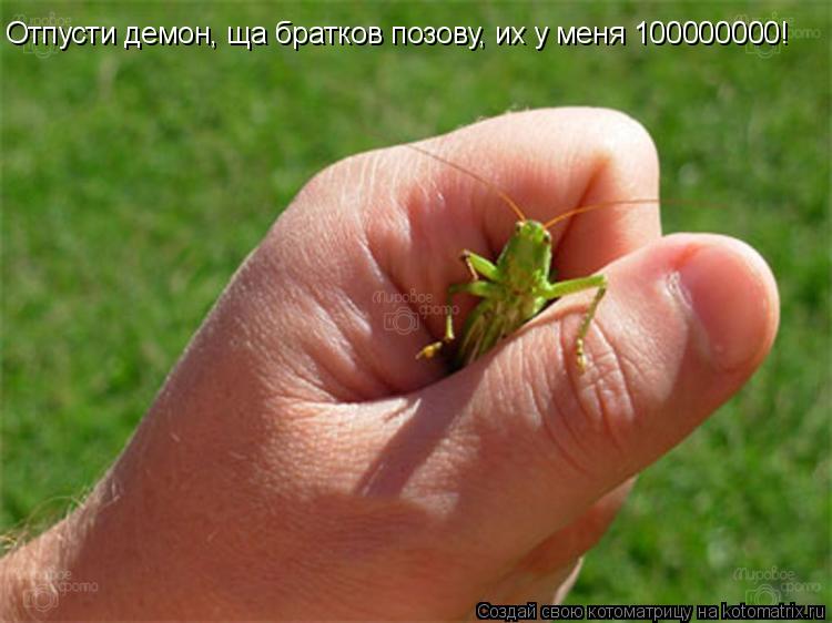 Отпусти демон, ща братков позову, их у меня 100000000!... Котоматрица: Отпусти демон, ща братков позову, их у меня 100000000!