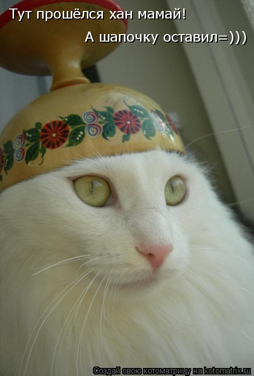 Тут прошёлся хан мамай! А шапочку оставил=)))... Котоматрица: Тут прошёлся хан мамай! А шапочку оставил=)))