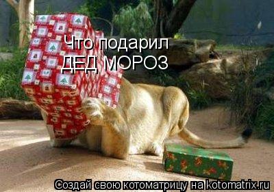 Что подарил Что подарил ДЕД МОРОЗ... Котоматрица: Что подарил Что подарил ДЕД МОРОЗ
