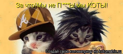 За что!Мы не П***Ы мы КОТЫ!... Котоматрица: За что!Мы не П***Ы мы КОТЫ!