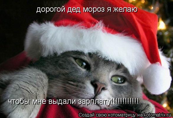 дорогой дед мороз я желаю чтобы мне выдали зарплату!!!!!!!!!!!!... Котоматрица: дорогой дед мороз я желаю чтобы мне выдали зарплату!!!!!!!!!!!!