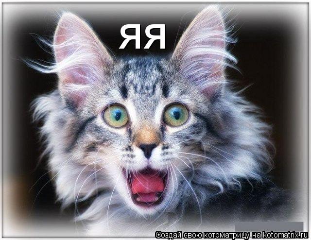 яя... Котоматрица: яя