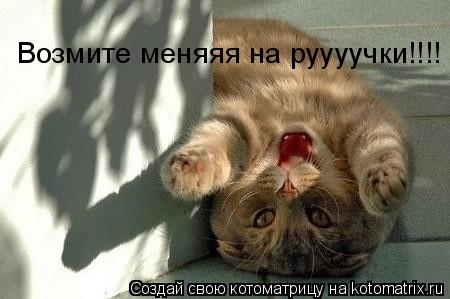 Возмите меняяя на руууучки!!!!... Котоматрица: Возмите меняяя на руууучки!!!!