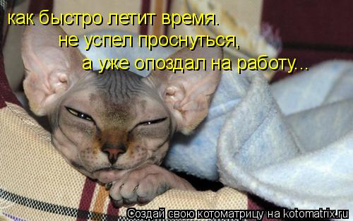 как быстро летит время. не успел проснуться, а уже опоздал на работу...... Котоматрица: как быстро летит время. не успел проснуться, а уже опоздал на работу...