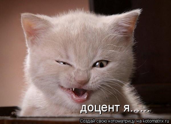 доцент я......... Котоматрица: доцент я......