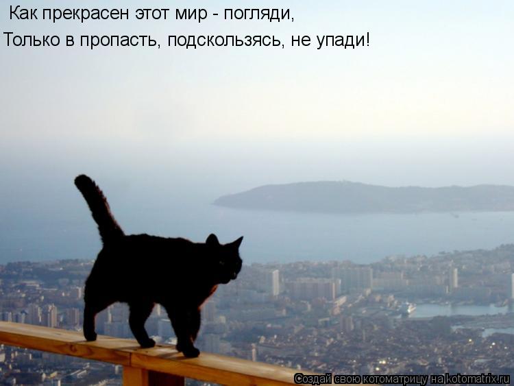 Как прекрасен этот мир - погляди, Только в пропасть, подскользясь, не упади!... Котоматрица: Как прекрасен этот мир - погляди, Только в пропасть, подскользясь, не упади!