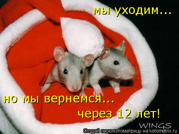 мы уходим... но мы вернемся... через 12 лет!... Котоматрица: мы уходим... но мы вернемся... через 12 лет!