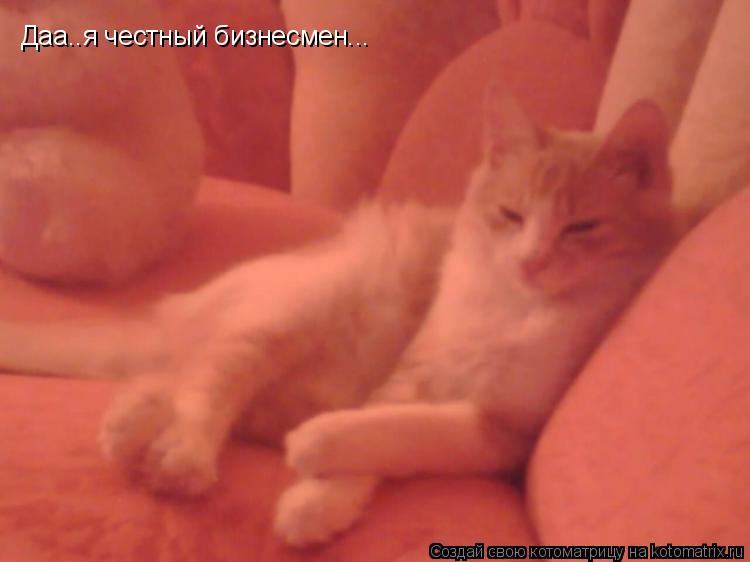 Даа..я честный бизнесмен...... Котоматрица: Даа..я честный бизнесмен...