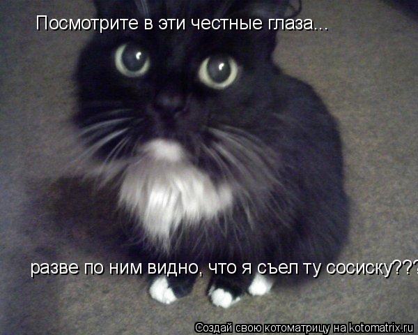 Посмотрите в эти честные глаза... разве по ним видно, что я съел ту сосиску????... Котоматрица: Посмотрите в эти честные глаза... разве по ним видно, что я съел ту сосиску????