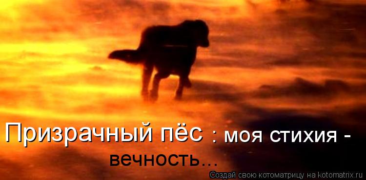 Призрачный пёс : моя стихия - вечность...... Котоматрица: Призрачный пёс : моя стихия - вечность...