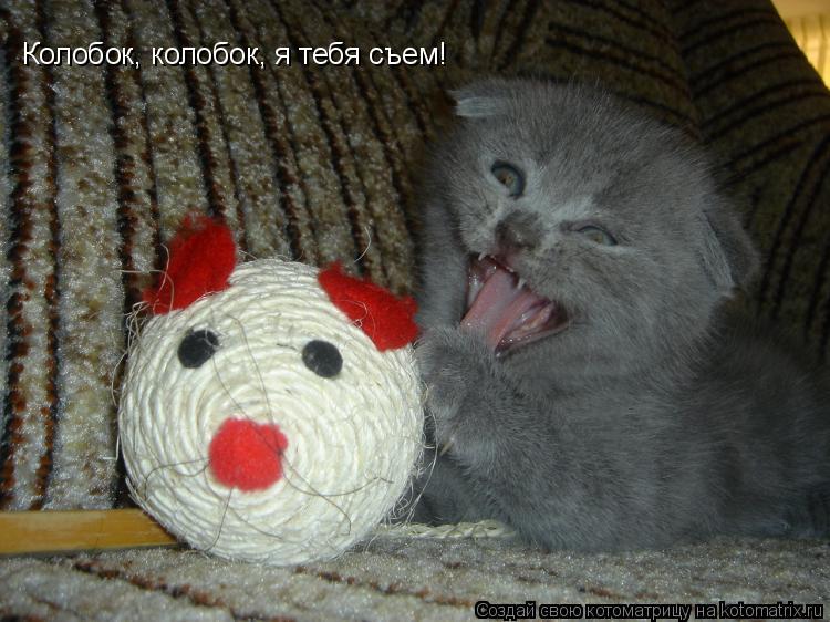 Колобок, колобок, я тебя съем!... Котоматрица: Колобок, колобок, я тебя съем!